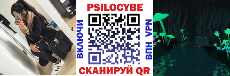 Купить  Абдулино  Псилоцибиновые грибы Psilocybine cubensis 